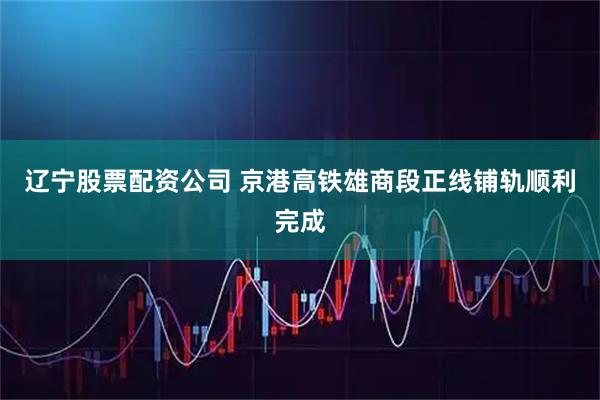 辽宁股票配资公司 京港高铁雄商段正线铺轨顺利完成