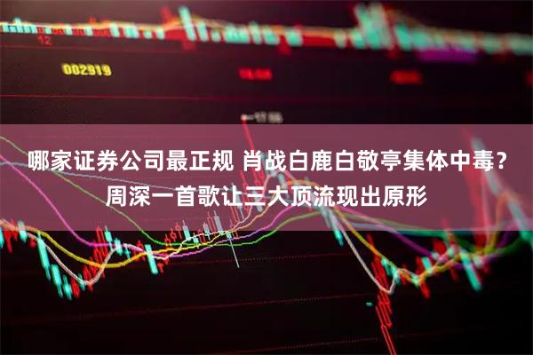 哪家证券公司最正规 肖战白鹿白敬亭集体中毒？周深一首歌让三大顶流现出原形